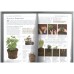 Hardy Perennials