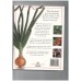 Pippa's Organic Kitchen Garden 