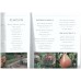 Pippa's Organic Kitchen Garden 