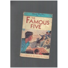 Five Have a Mystery to Solve (Famous Five #20)