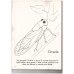 Bugs colouring book
