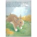 Little Rabbit: A Soft-to-touch Book 