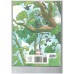 Duncan's Tree House