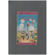 Folk Of The Faraway Tree (English)