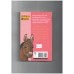Donkey on the Doorstep (Animal Ark)