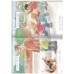 Read Together - Race For the Bus  (level 3)