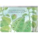 From Caterpillar to Butterfly (Let's-Read-and-Find-Out Science 1)