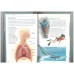 The Body (Discovery)