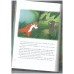 Disney Classic - Jungle Book