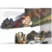 Disney Princess Storybook Collection