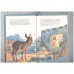 The First Christmas (bible stories)