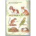 My first book of Pets