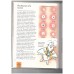 How my body works - Immunisation