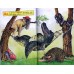 The Animal Alphabet Book 