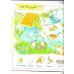 1001 Things to Spot on the Farm