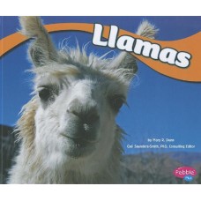 Llamas (South American Animals)