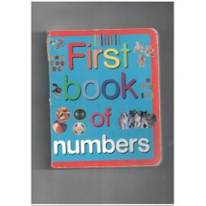 First Book of Numbers 