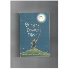 Bringing Down the Moon