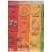 Colors, ABC, Numbers(Board book)