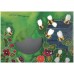 My Little Ladybirds - tab book