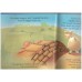 Three Billy Goats Gruff 