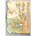 The Tale of Peter Rabbit (board book)