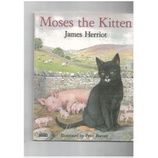 Moses the naugty kitten