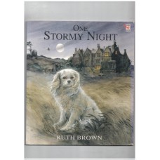 One Stormy Night (Red Fox Picture Books) 