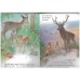 The little deer