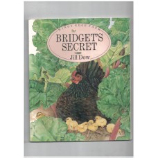 Bridget's Secret