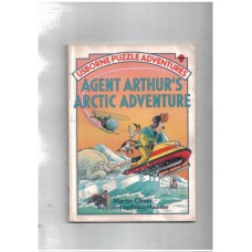 Agent Arthur's Arctic Adventure (usborne Puzzle Adventures Series)