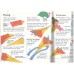 Science with Air (Usborne Science Activities)
