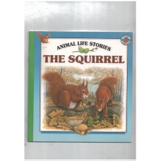 Animal Life stories : the squirrel
