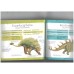 Dinosaur fact file