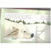 An Polly Polar Bear: An Interactive Pop-up Book (Maurice Pledger pop-up series)