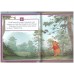 Disney - winnie the pooh (me reader) Disney - winnie the pooh (me reader)