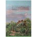 Dinosaurs and other prehistoric reptiles