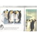 Animal life stories - The Penguin