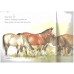 A Field Full of Horses (Read and wonder)