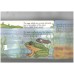 Frogs (natural pop ups)