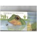 Frogs (natural pop ups)