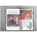 The Little Mermaid (Book of the Film (Ladybird)