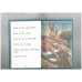 Things We Like (The Ladybird Key Words Reading Scheme 3a) 
