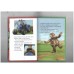 Little red tractor - the beast of babblebrook - ladybird