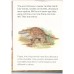 Learn About Dinosaurs
