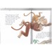 Jump, Little Monkey! (Early learning centre story book)
