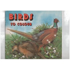 Birds to colour