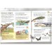Where did dinosaurs go? Usborne starting point science