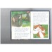 The Jungle book The Jungle book