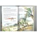 Dinosaurs (Discovery)  (Ladybird)